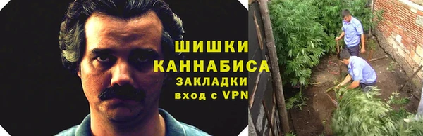 ешки Богданович