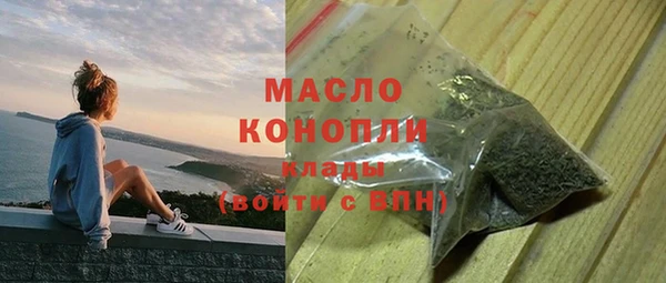 индика Богородицк