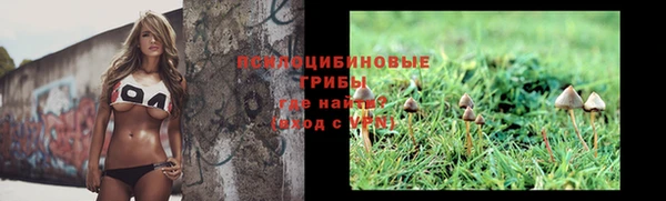 индика Богородицк