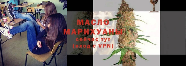 индика Богородицк