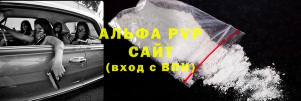 индика Богородицк
