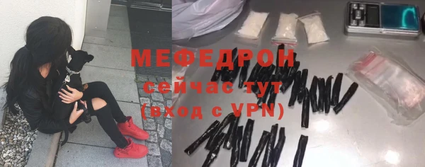 индика Богородицк