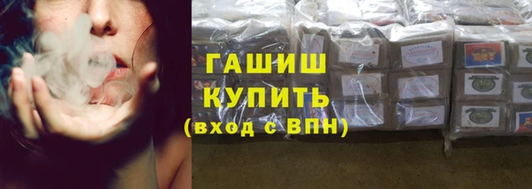 индика Богородицк