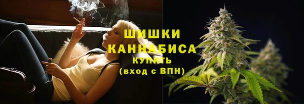 индика Богородицк