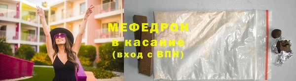 индика Богородицк