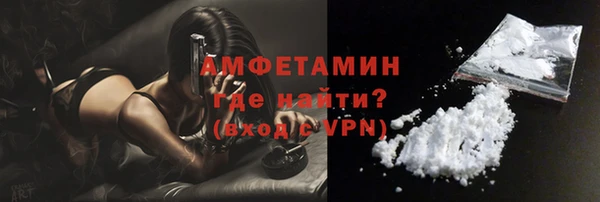 индика Богородицк