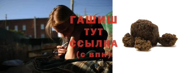 индика Богородицк