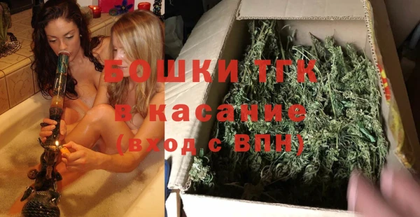 индика Богородицк