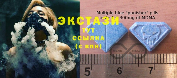 индика Богородицк