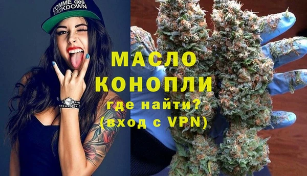 индика Богородицк