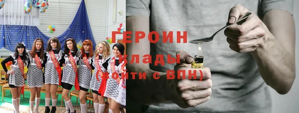 индика Богородицк