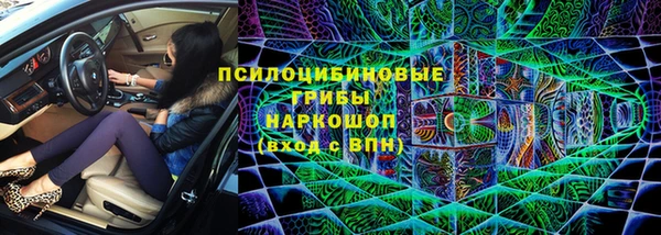 ешки Богданович
