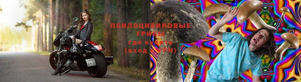 индика Богородицк