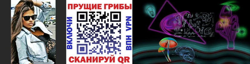 наркотики  Симферополь  Псилоцибиновые грибы Psilocybine cubensis 